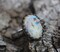 Opal Ring * Solid Sterling Silver Ring* Floral Band * Monarch Opal *  Any Size product 3